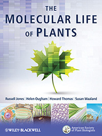 Molecular Life of Plants