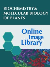 BMBP Online Image Library 1st edition