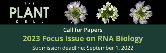 Focus Issue on RNA Biology
