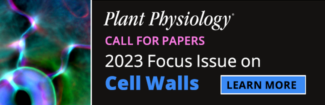 Focus Issue on Cell Walls