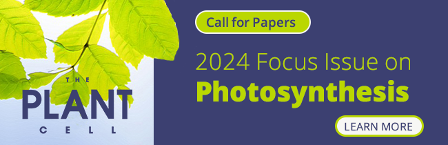 Focus Issue on Photosynthesis