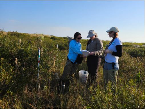 Three people stand in coastal vegetation