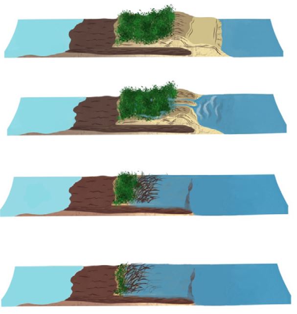 A series of graphics depicting coastal erosion