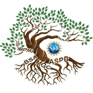 Logo of the ROOT and SHOOT RCN